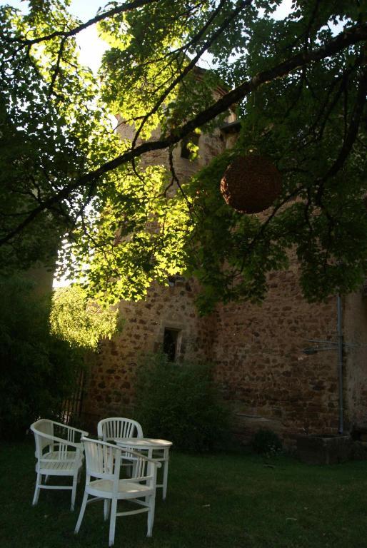 Chateau De Salelles Banassac Exterior photo