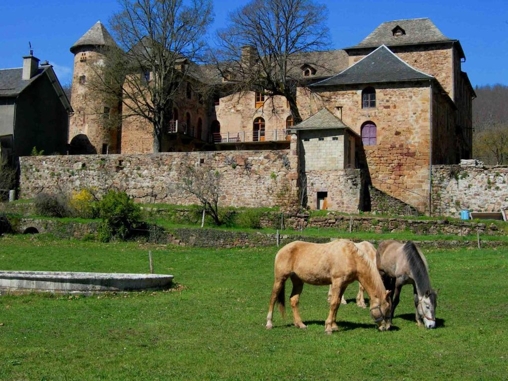 Chateau De Salelles Banassac Exterior photo